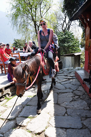 Trekking Nepal: Calare pe magar