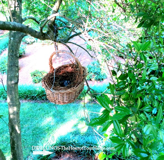 basket nest