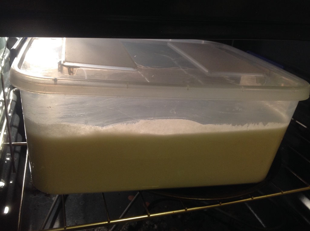 [Idli-batter-fermentation-in-cold-cou%255B4%255D.jpg]