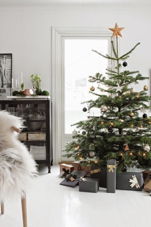 [8010da604e372eaaf646748f1a453bd03.jpg]