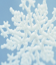 Largest Snowflake - Celebrity Pictures