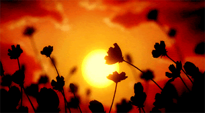 0_9f9a6_a8db2ab3_L.gif