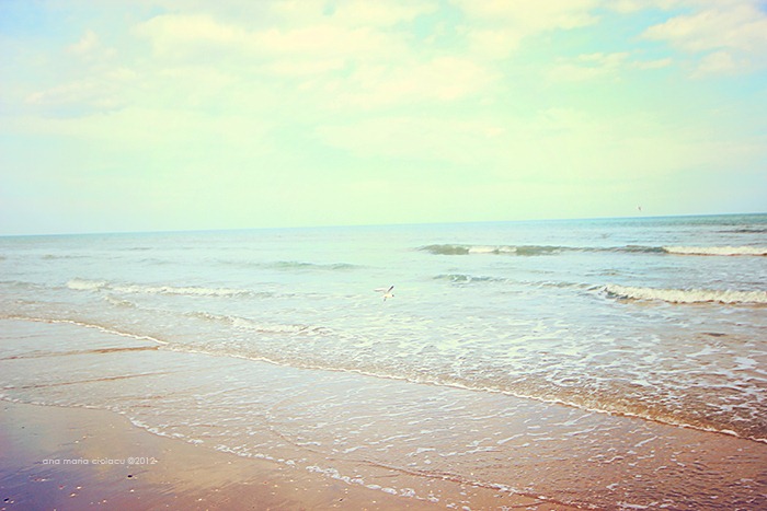 [Riccione%252015%255B13%255D.jpg]