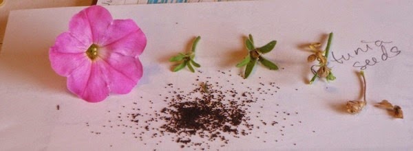 [clip_image004%255B4%255D.jpg]