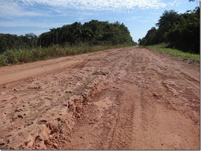 BR-319_Humaita_Manaus_Day_2_DSC05337