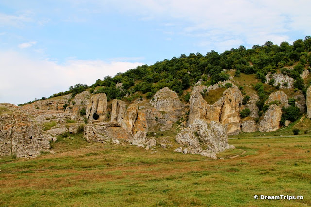 Cheile Dobrogei 7190.JPG