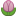 Tulip emoji Tulip symbol