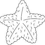 STARFISH1_BW_thumb.jpg