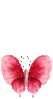 108.gif