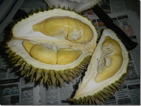 Durian Balik Pulau 3