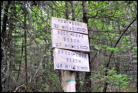 4 - Boot Cove Directional Signs