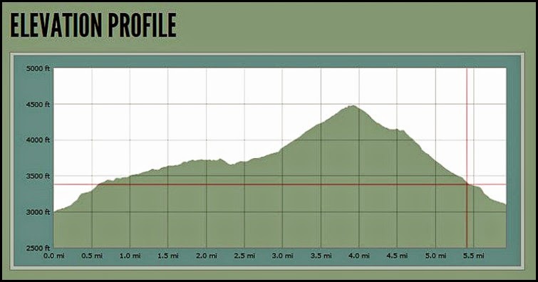 00b - Elevation Chart