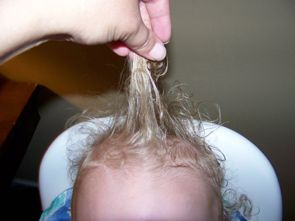 [106_3664%255B3%255D.jpg]