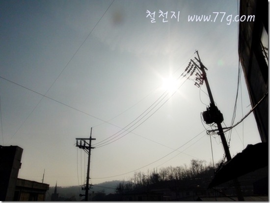 철천지DSC04943-20120329-085021