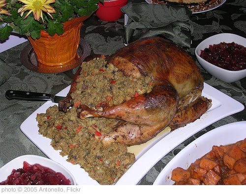 'Thanksgiving turkey' photo (c) 2005, Antonello - license: http://creativecommons.org/licenses/by/2.0/