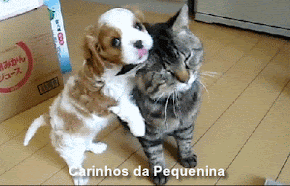 pequenina.gif