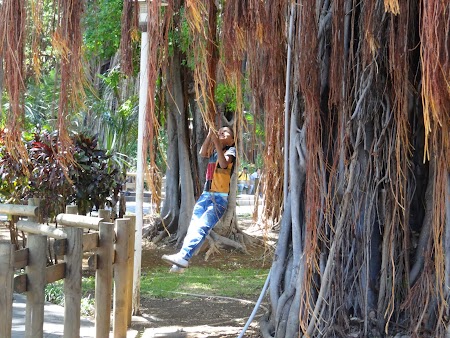 Micul Tarzan din Mauritius