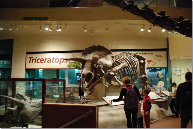 11-12-12 B Museum Of Natural History 009