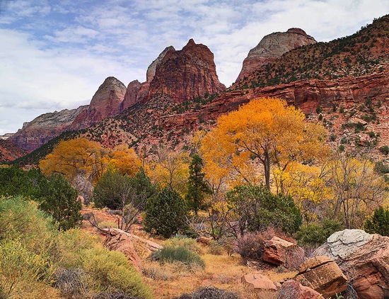 780px ZION ENTRANCE