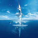 SeaOrbiter, welcome on board logo