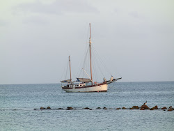 2013-10-01 Aruba - 19