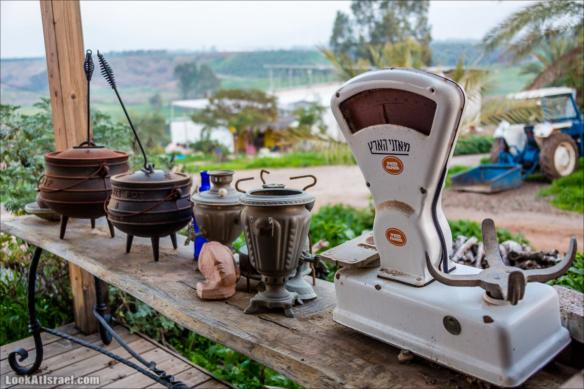 Менахемия - Козья Ферма Аз Из и медицинский музей Бейт ха-Рофе | Menahemia - As Is farm and medical museum | LookAtIsrael.com - Фото путешествия по Израилю | מנחמיה - חוות עז עיז ובית הרופא