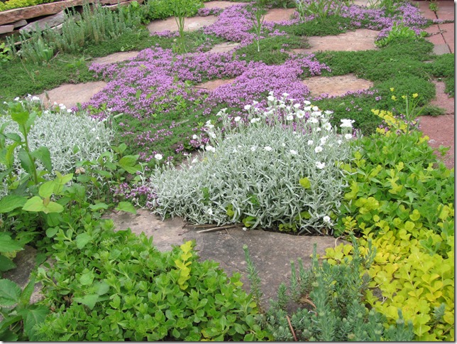 Dakota Garden: Beautiful Ground Covers Instead of Mulch