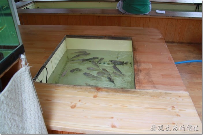 日本北九州-由布院街道。這家店裡面養了一堆魚，還養在一個一個小池子裡。
