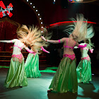 IMG_7074.jpg