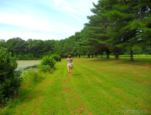 9. Dawn birding-kab