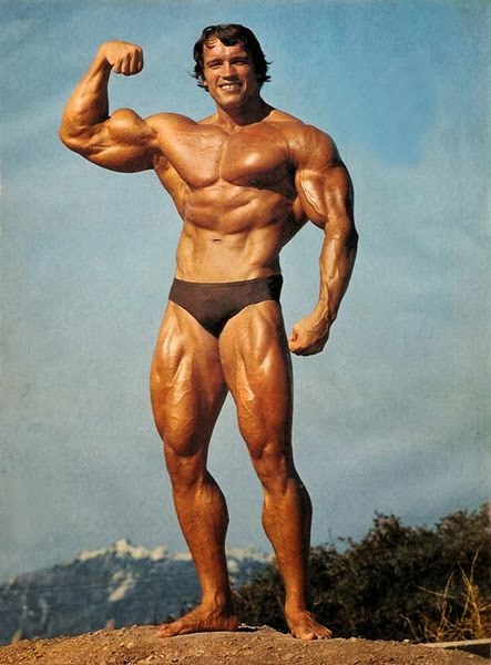 Arnold 02
