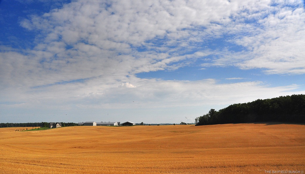 [DSC_0083%255B4%255D.jpg]