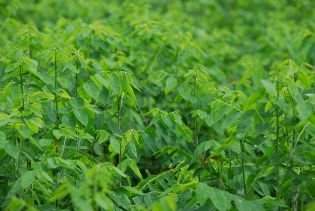 [image%255B3%255D.png]