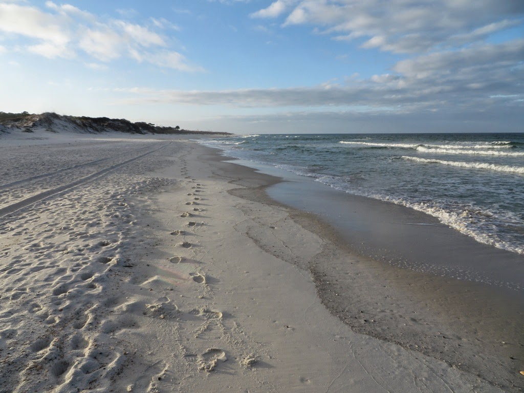 [st_joe_footprints_beach3.jpg]