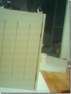 Gallery487_6(1)