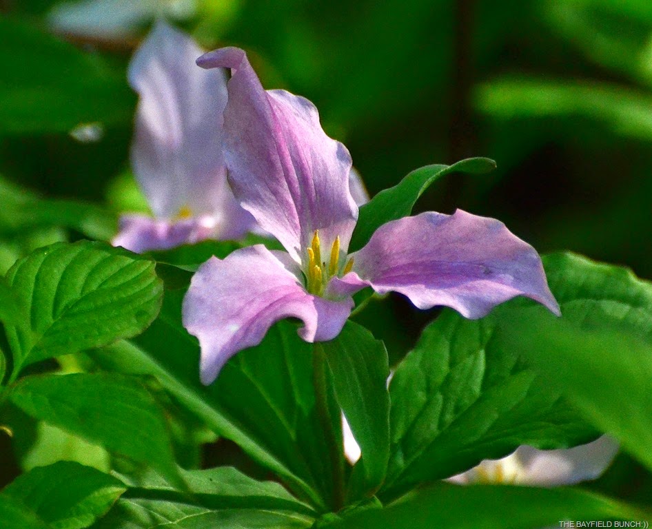 [DSC_0045%255B3%255D.jpg]