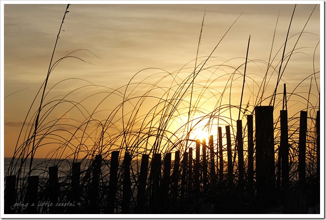 henderson beach fence sunset_edited-1