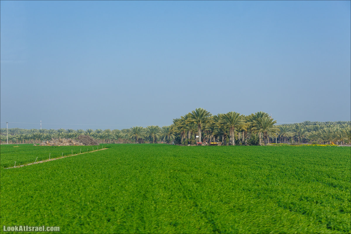 Сельскохозяйственная школа Хава бе-Эден | Hava be-Eden farm | LookAtIsrael.com - Фото путешествия по Израилю | חווה בעדן