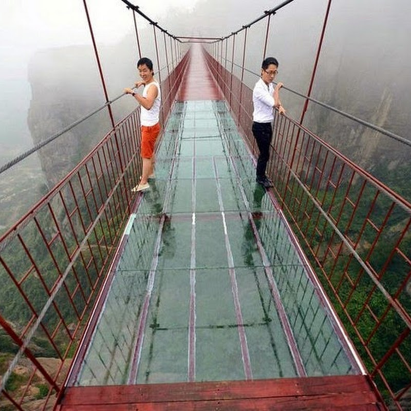 Terrifying Glass Bottomed Bridge Opens In China Amusing Planet Terrifying Glass Bottomed Bridge Opens In China Amusing Planet