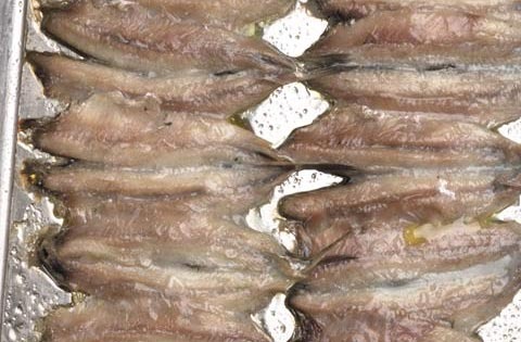 [marinated-anchovies-with-wild-fennel-step2%25203%255B4%255D.jpg]