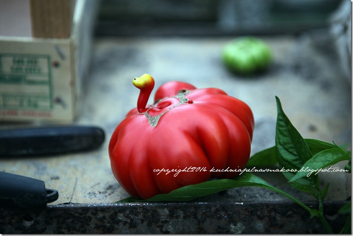 tarta z pomidorami bezglutenowa (13)