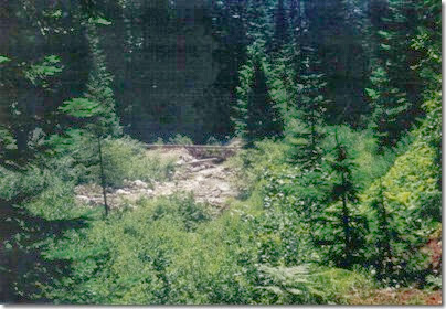 View from near Water Tower Footings at Wellington on the Iron Goat Trail in 2000
