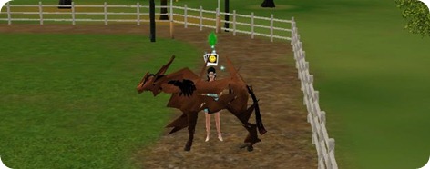 pets deformados