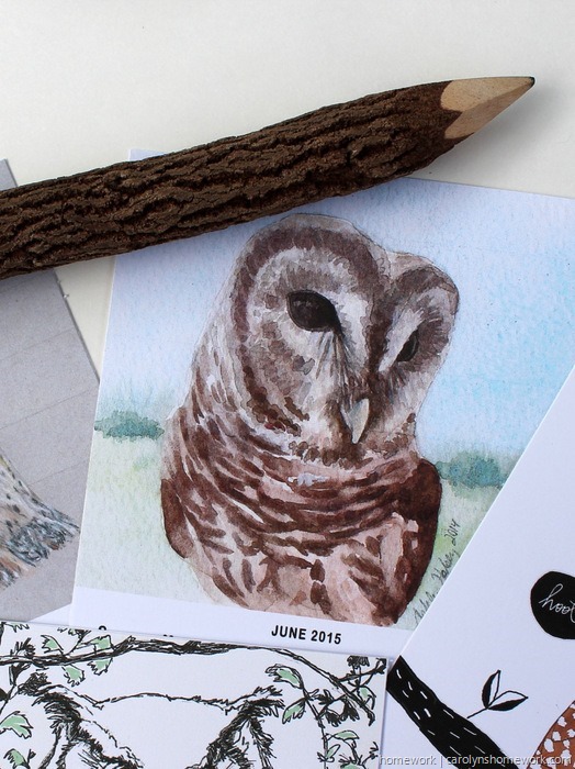 2015 Owl Lovers Calendar via homework (6)