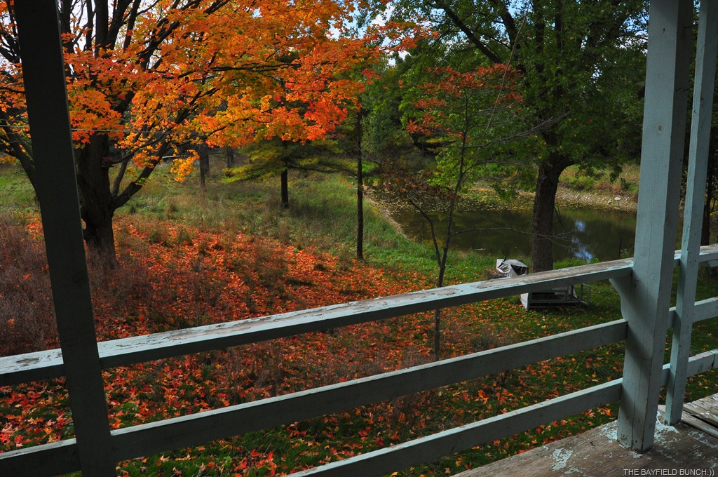 [DSC_0041%255B4%255D.jpg]