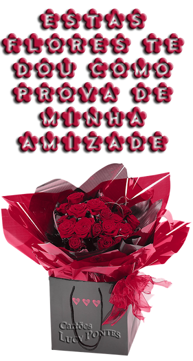 AMIZADE%252520731.png