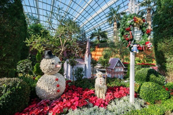 Yuletide in the Flower Dome