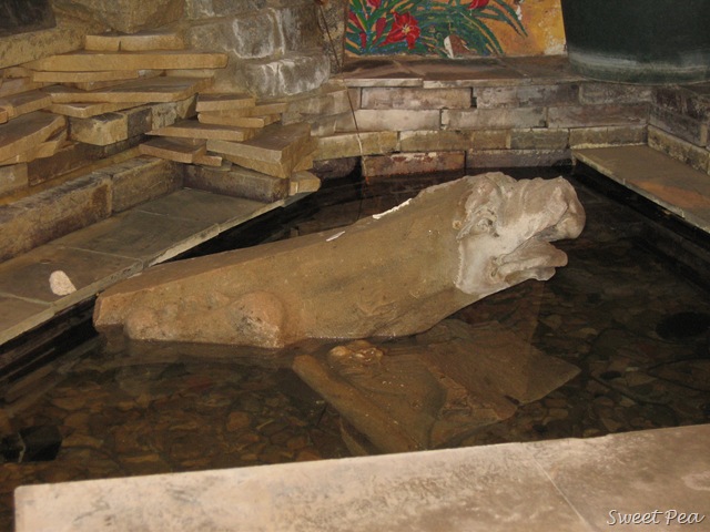 [IMG_6395%255B3%255D.jpg]