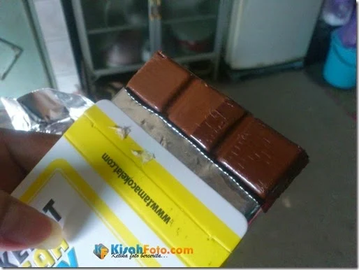 Chocodot Coklat Cegah 4l4y Kisah Foto_05
