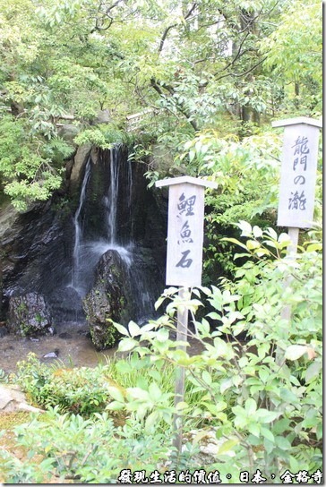 日本-金格寺，龍門瀑布與鯉魚石。鯉魚石被安排在瀑布的正下方，象徵鯉躍龍門的意思。 